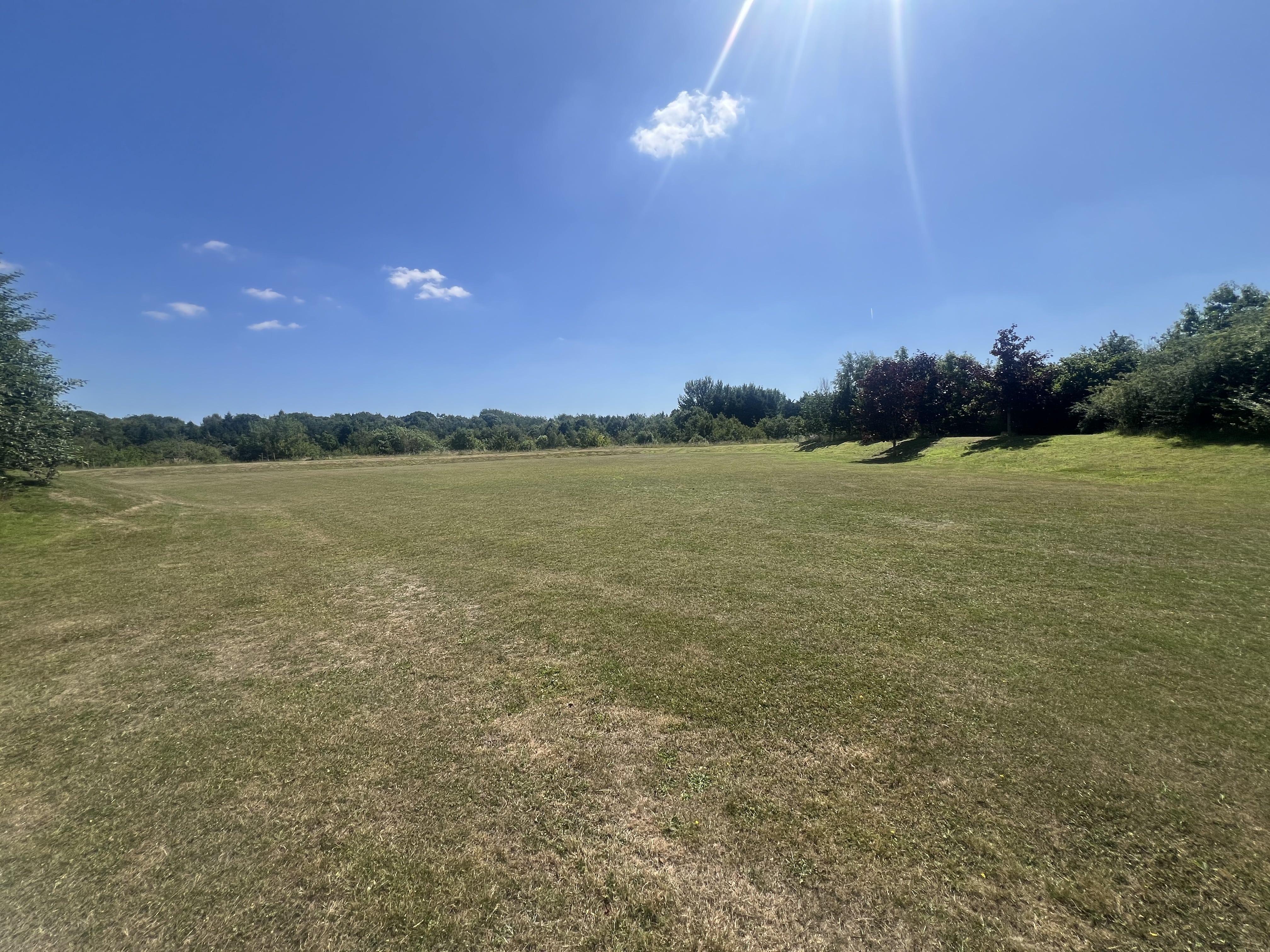 Milfield Field